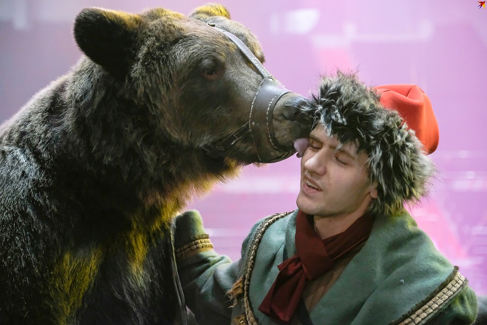 Бурый медведь Яков Потапыч целует своего дрессировщика. Фото: Артем КИЛЬКИН