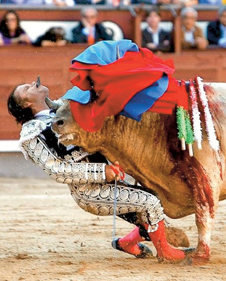 Испанскому матадору Хулио АПАРСИО пришлось перенести несколько сложнейших операций после встречи с полуторатонным быком Опипаро, проткнувшим гортань