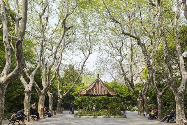 парк, park, shanghai park, парк шанхай