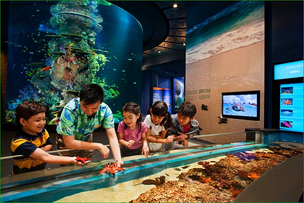 Чем ещё заняться в Сингапуре? Отправляемся на остров Сентоза, на котором располагается океанариум, парк Бабочек и Музей восковых фигур.