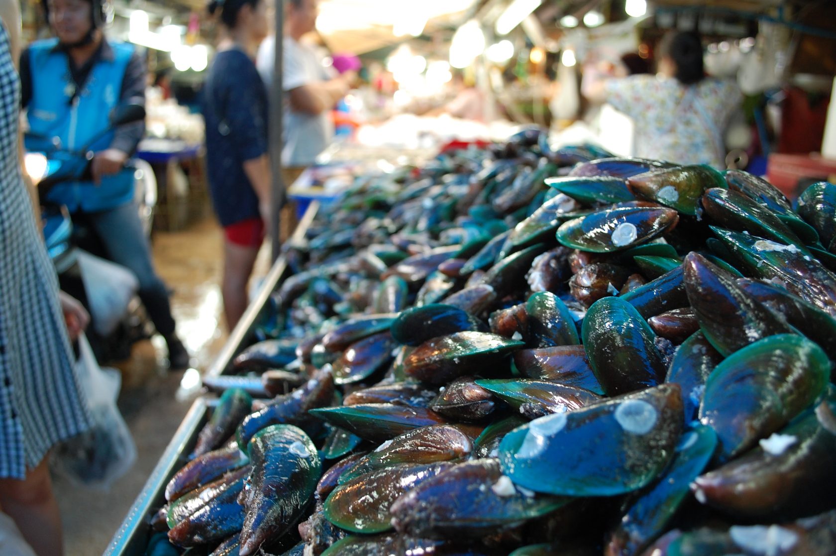 Как чистить паттайю. Паттайя рыбный рынок Наклуа. Пхукет рынок. Рыбный рынок Пхукет. Паттайя рынок морепродуктов.