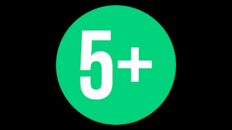 Плюс 5 область. Логотип 5+. Знак 5+. Оценка 5+ без фона. 5+ Картинка.