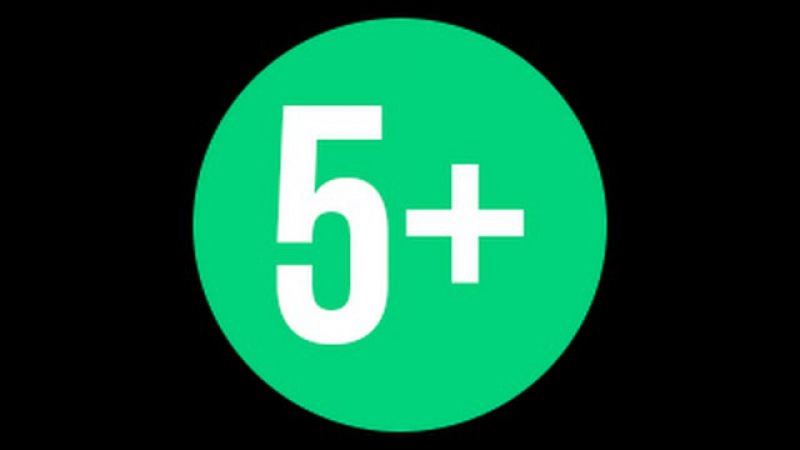 5 с плюсом. Логотип 5+. 5+ Иконка. 5+ Картинка. 5+ Без фона.