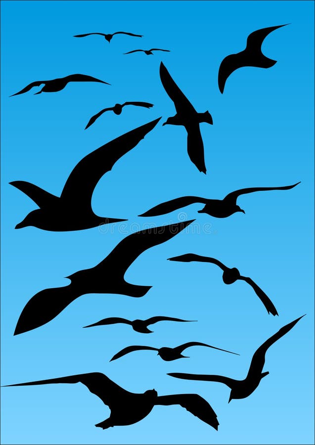 Seagull stock illustration