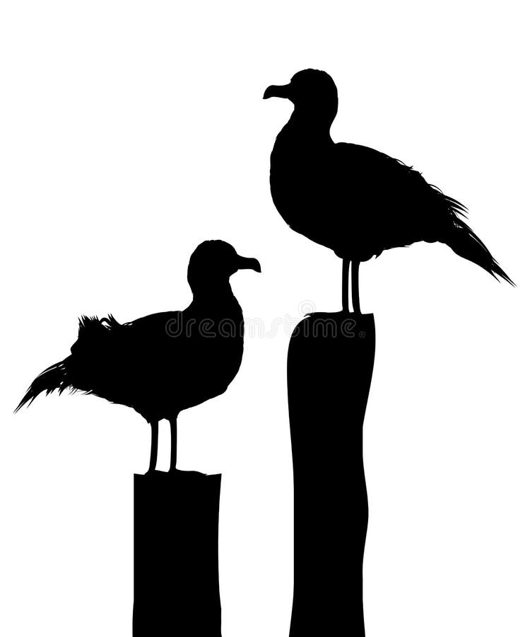 Sea gull silhouettes vector illustration