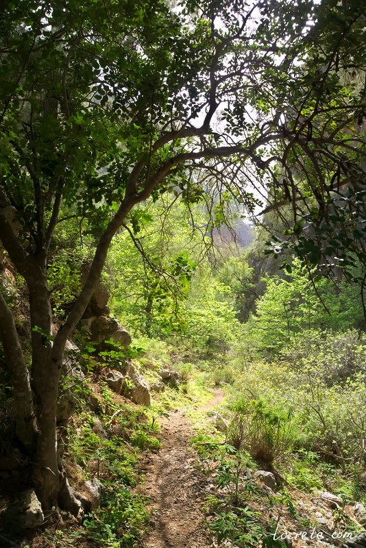 Ущелье Айя Ирини (Каньон Святой Ирины). Остров Крит