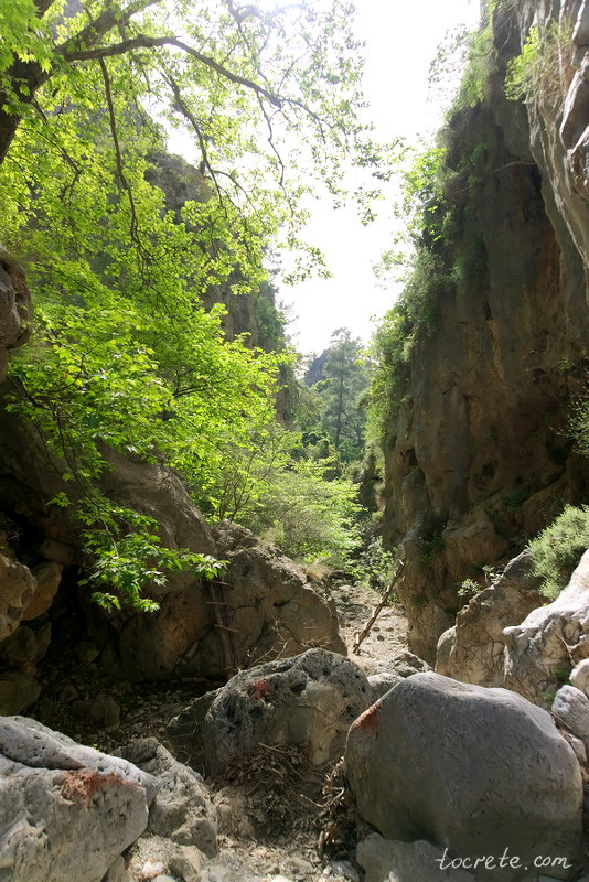 Ущелье Агия Ирини на острове Крит