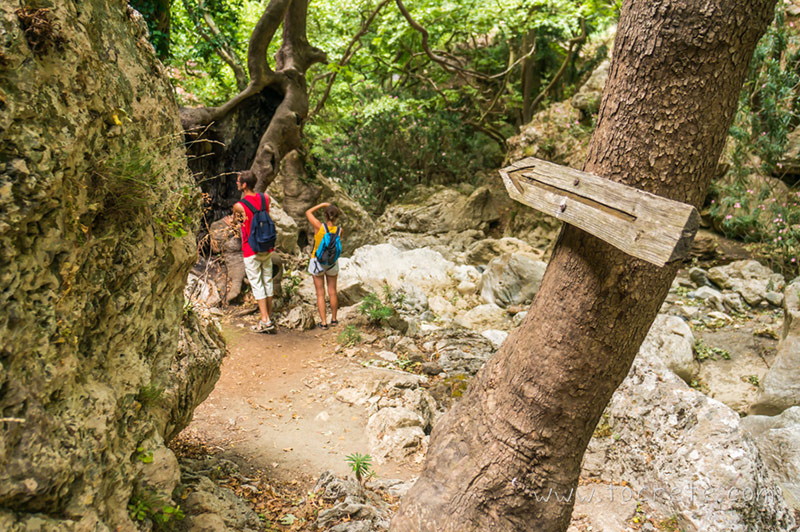 Ущелье Патсос (Patsos Gorge, Φαράγγι Πατσού)