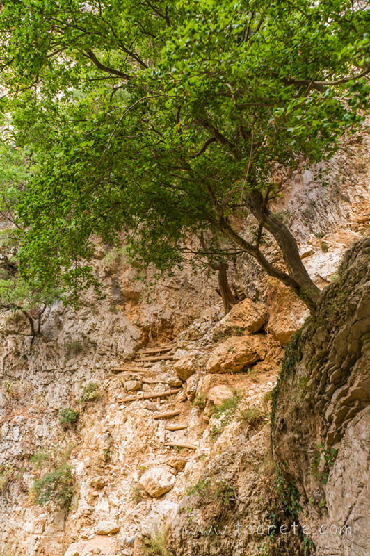 Ущелье Патсос (Patsos Gorge, Φαράγγι Πατσού)