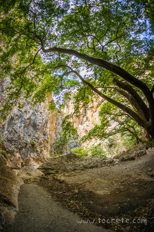 Ущелье Патсос (Patsos Gorge, Φαράγγι Πατσού)