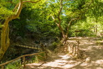 Ущелье Патсос (Patsos Gorge, Φαράγγι Πατσού)