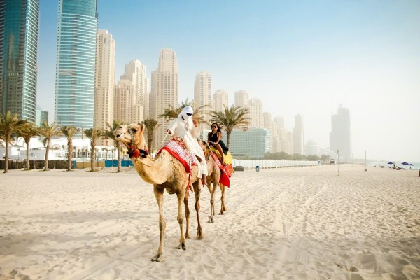 Самый дорогой отель в Дубае 7 звезд. Цена за сутки, варианты размещения, услуги. Рейтинг лучших
