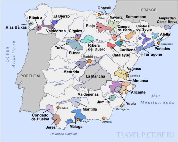 Что в Испании попробовать из вина