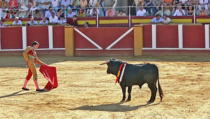 Bullfighting