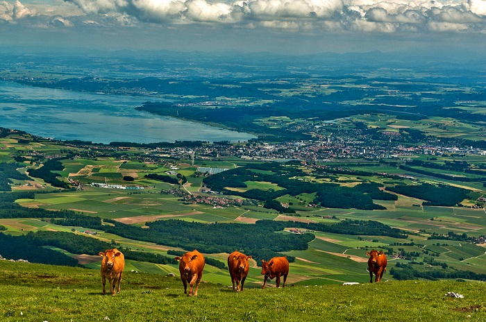 Yverdon-les-Bains_Izakigur