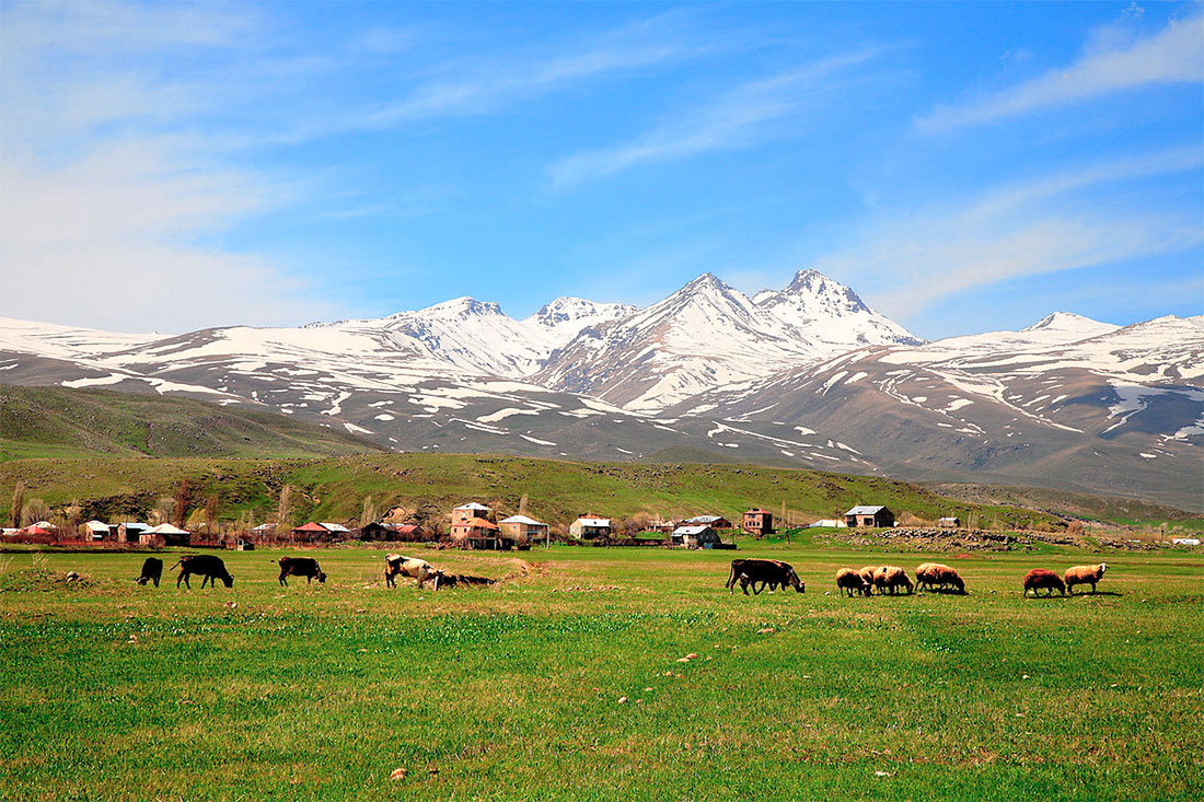 Гора Арагац