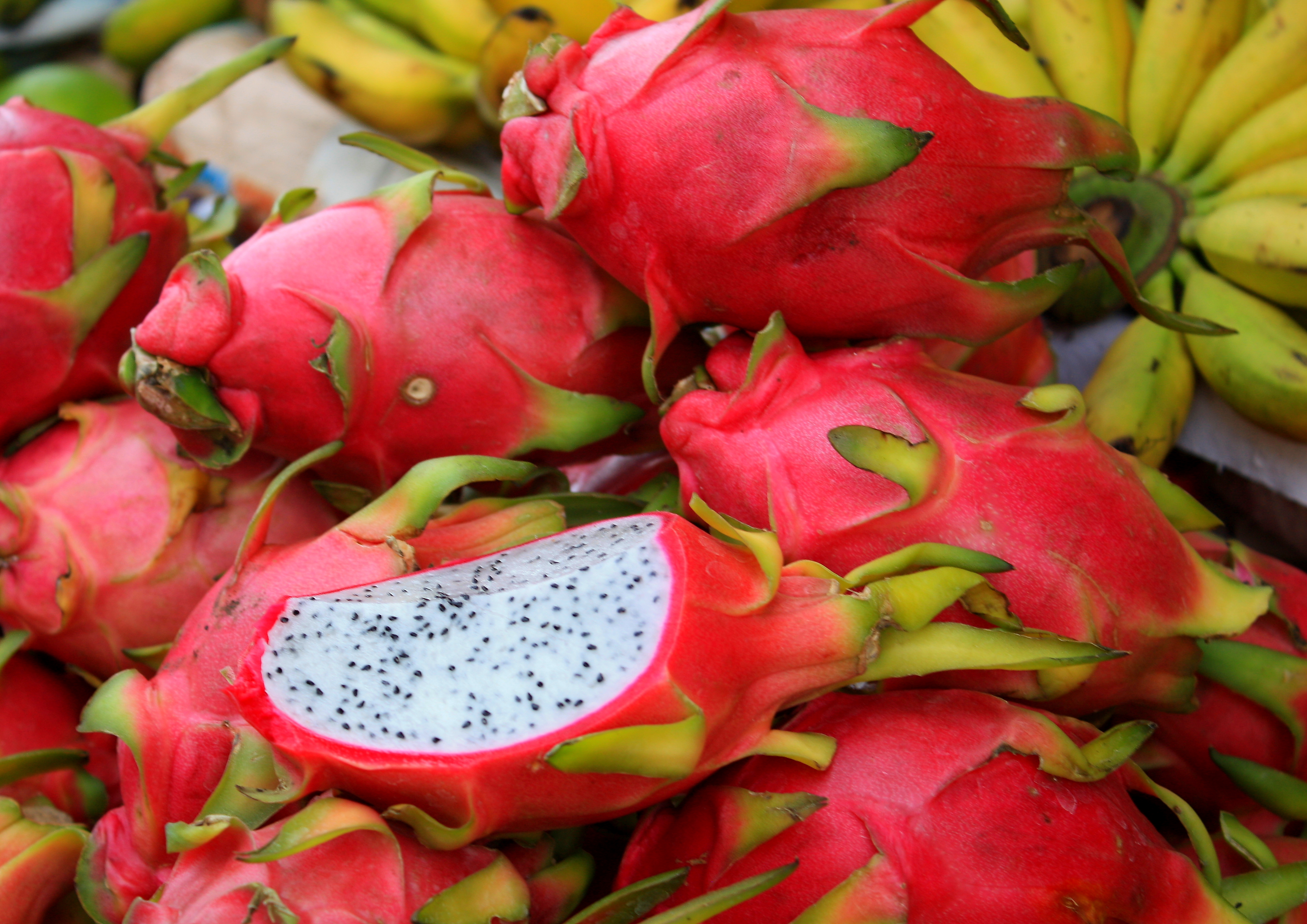 Ужасные фрукты. Драконий фрукт Бали. Личи Бали. Фрукт дракон на Бали. Рамбутан Бали.