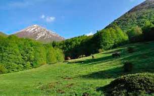 национальный парк pollino фото италия