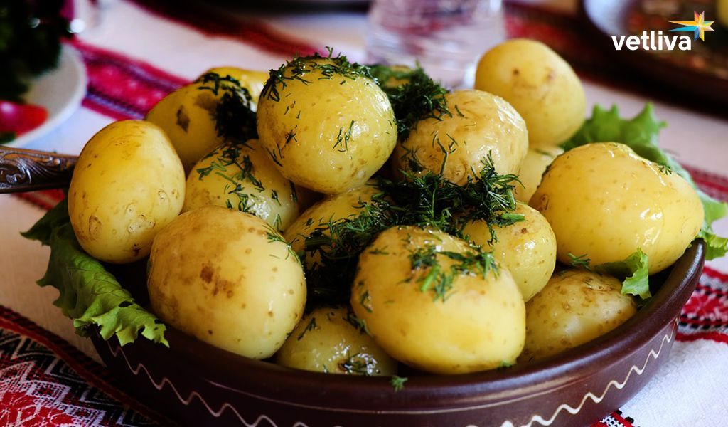 Национальная кухня Беларуси