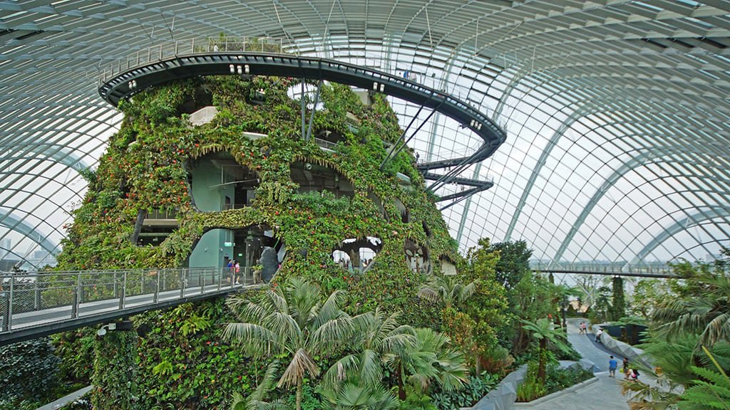 Ботанический сад Сингапура