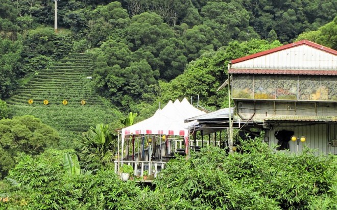 Чайные плантации Maokong Gondola
