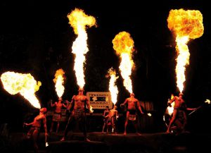 Ночное сафари