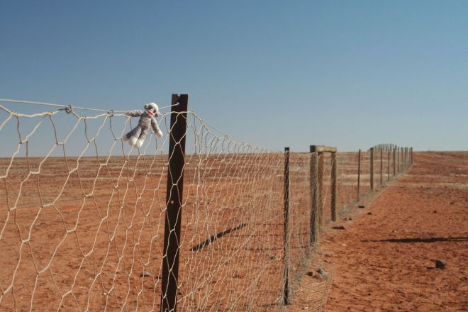 Забор в пустыне