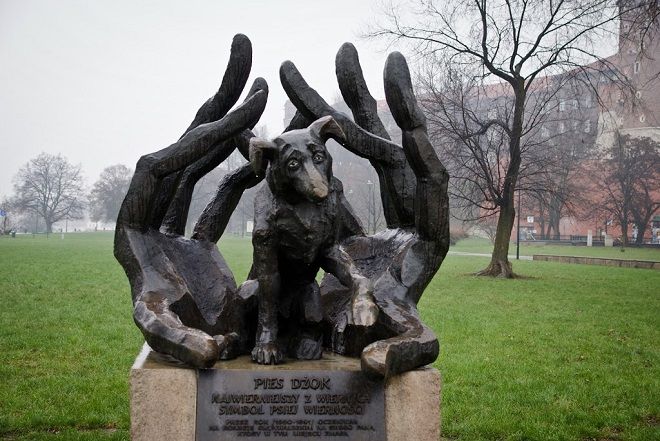 Памятник псу Джоку