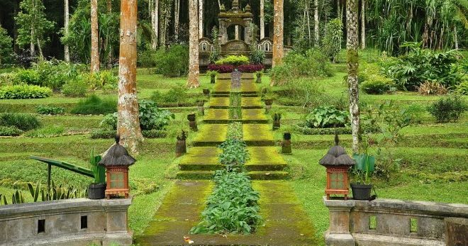Ботанический сад (Бали)