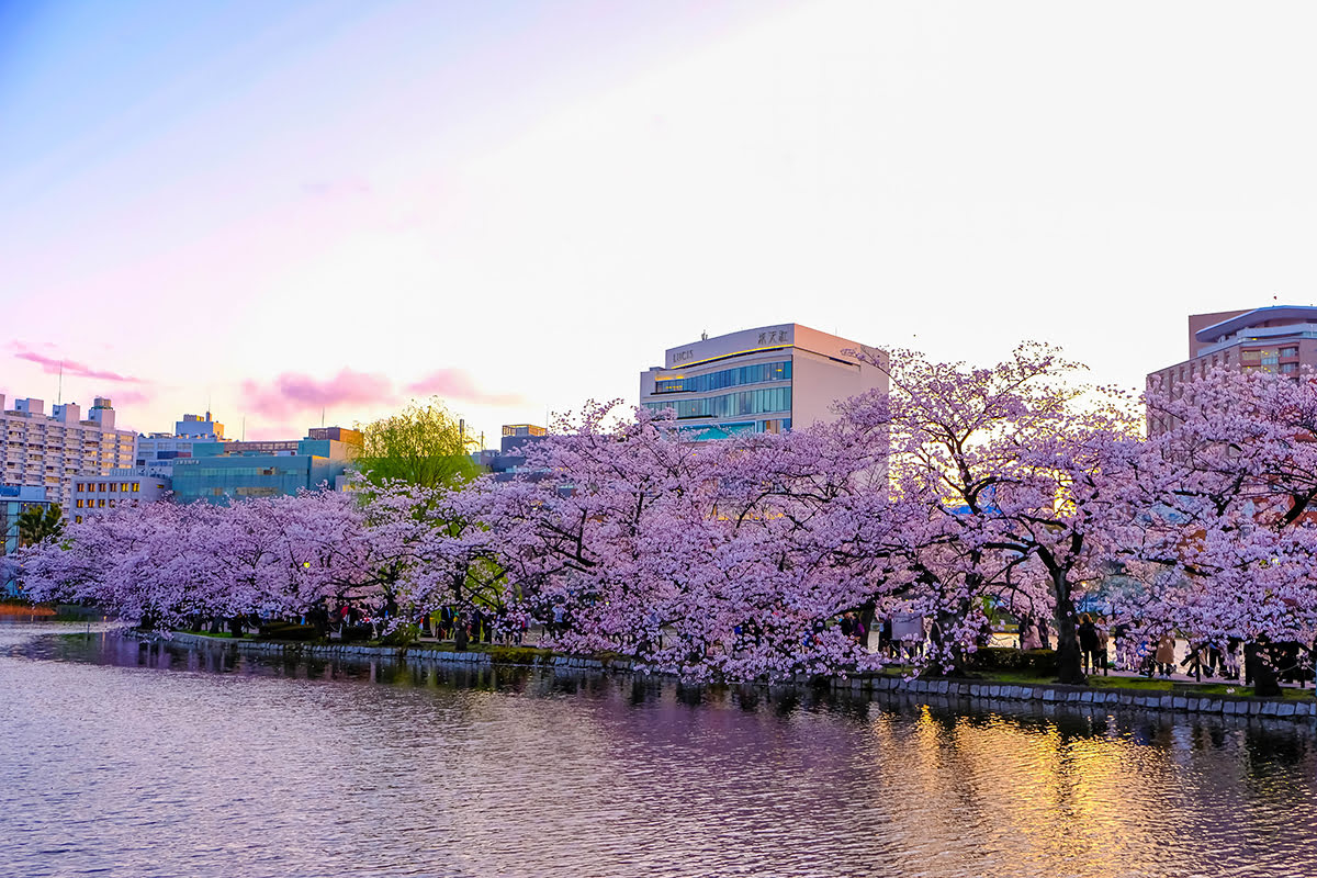 Best time to visit Tokyo-Tokyo sakura season 