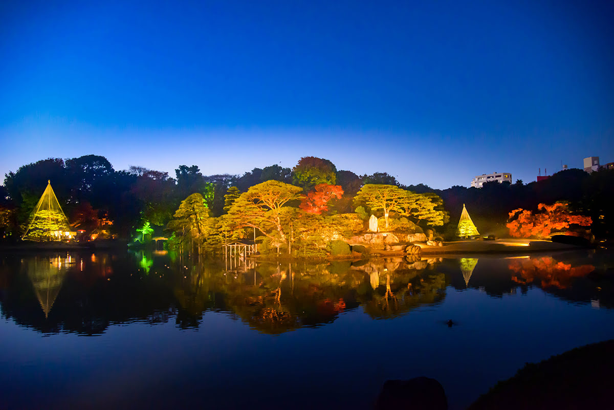 Best time to visit Tokyo_November-December_Tokyo fall leaves