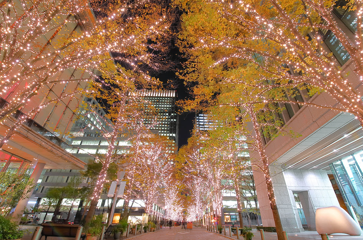 Best time to visit Tokyo_holiday season_Tokyo illumination