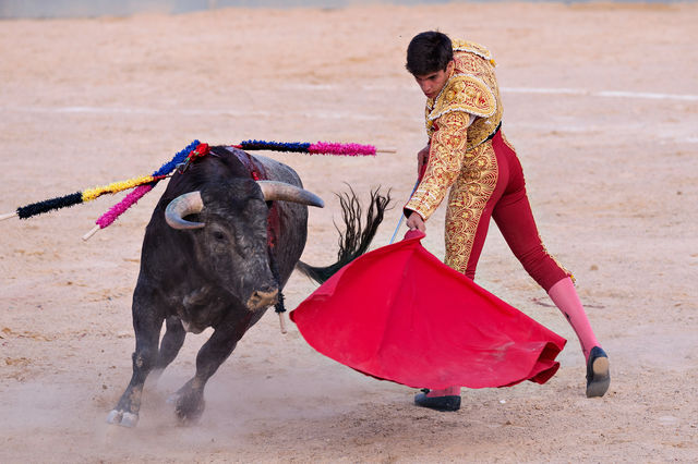 Любимым развлечением испанцев, бесспорно, является коррида. Ежегодно здесь проходит около 3 000 боев быков