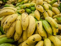 Фрукты — Бананы