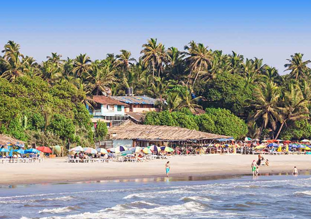 goa