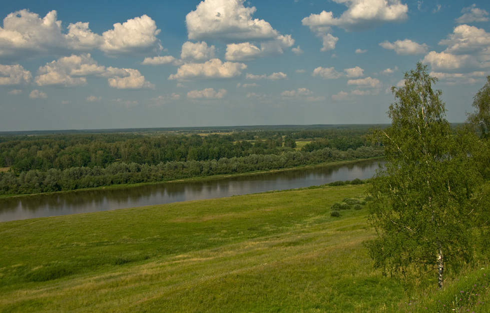 Клязьминский заказник