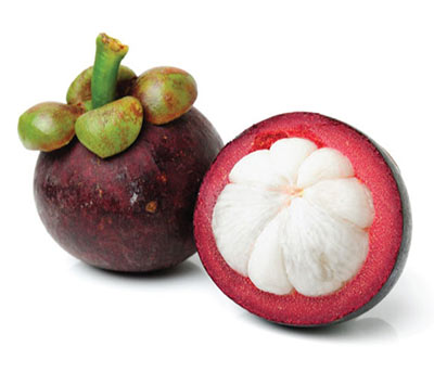 thai mangosteen