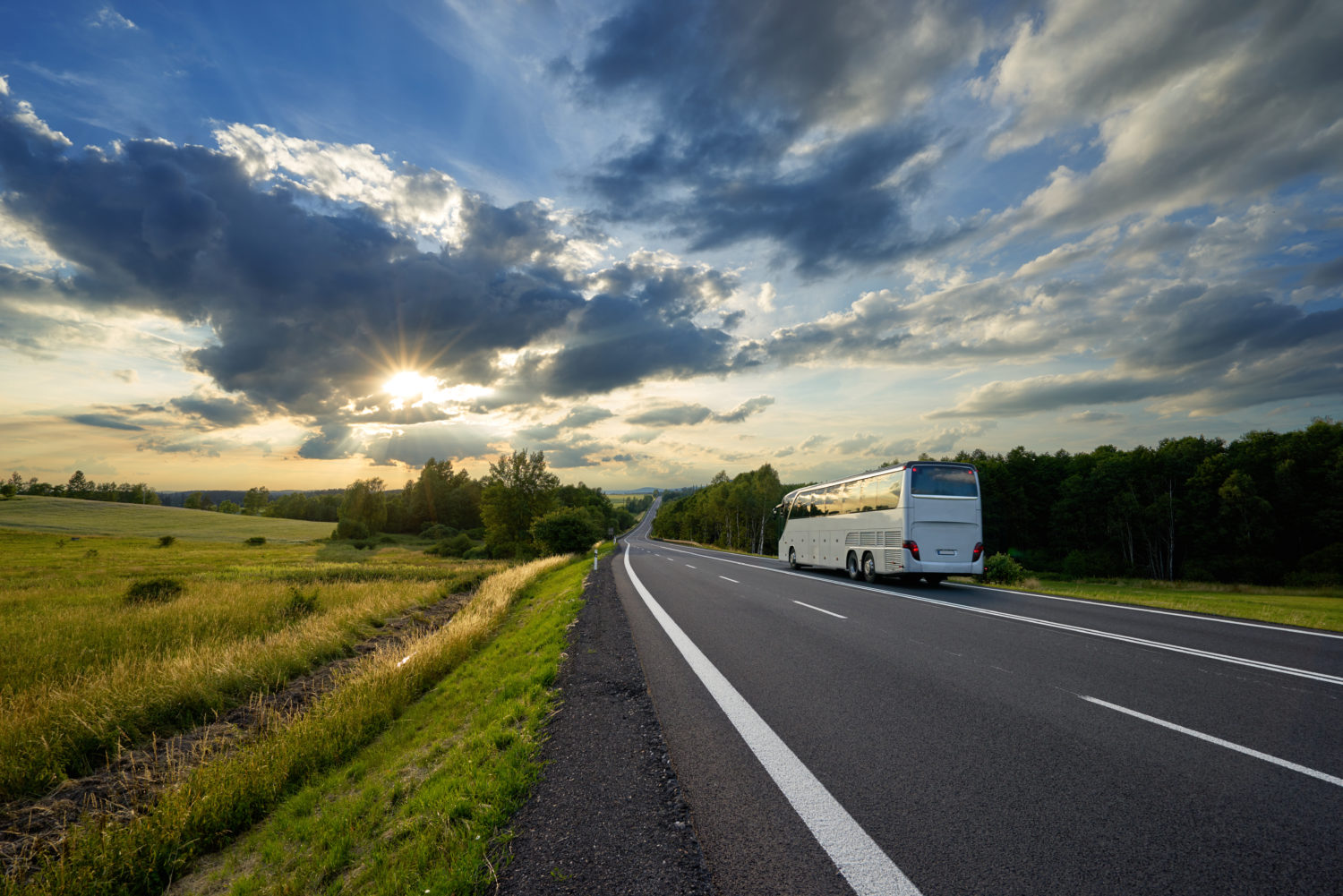 White bus in the countryside going from Riga to Vilnius