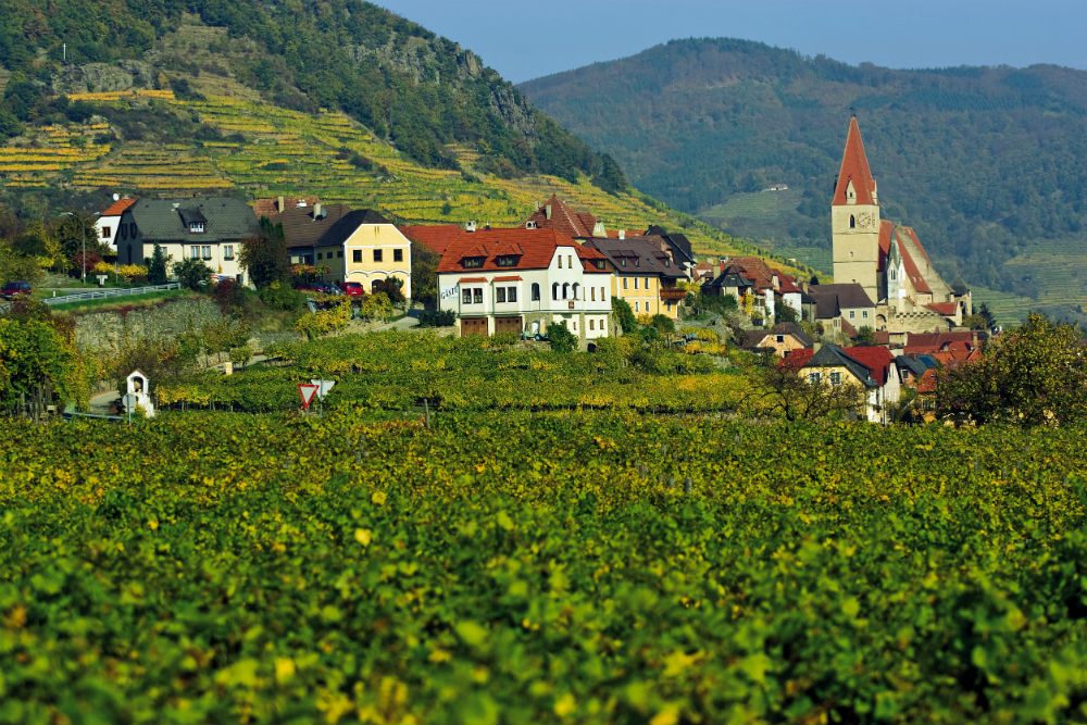 Wachau Austria view of village and green field