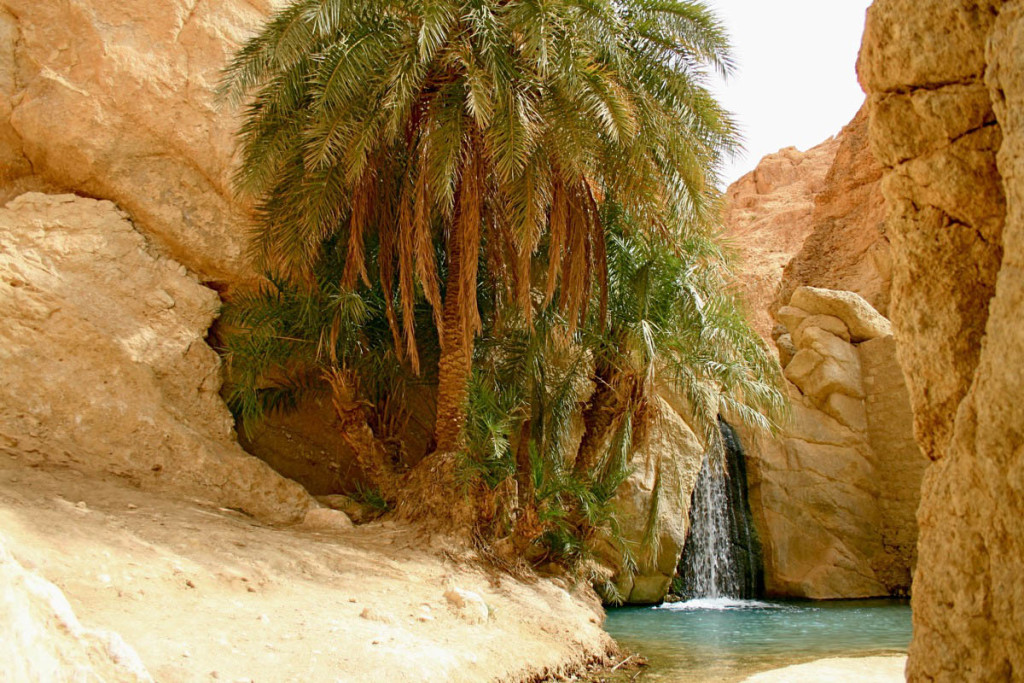 Природа Туниса