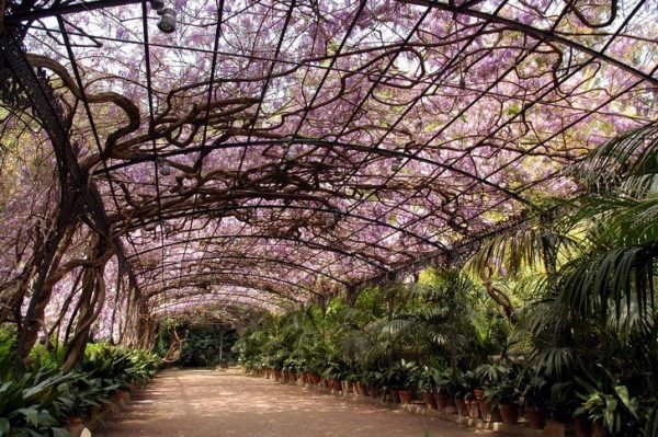 Ботанический сад Ла-Консепсьон в Малаге